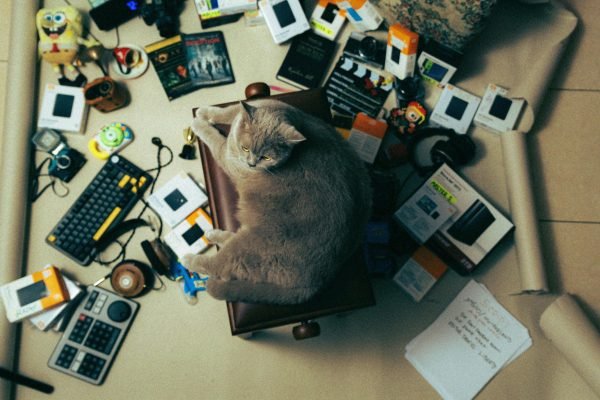 Digital Clutter is Killing Your Creativity — Here’s How to Fix It