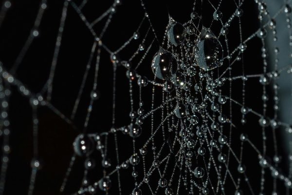 The Branding Trap: Why Looking Professional Isn’t Enough